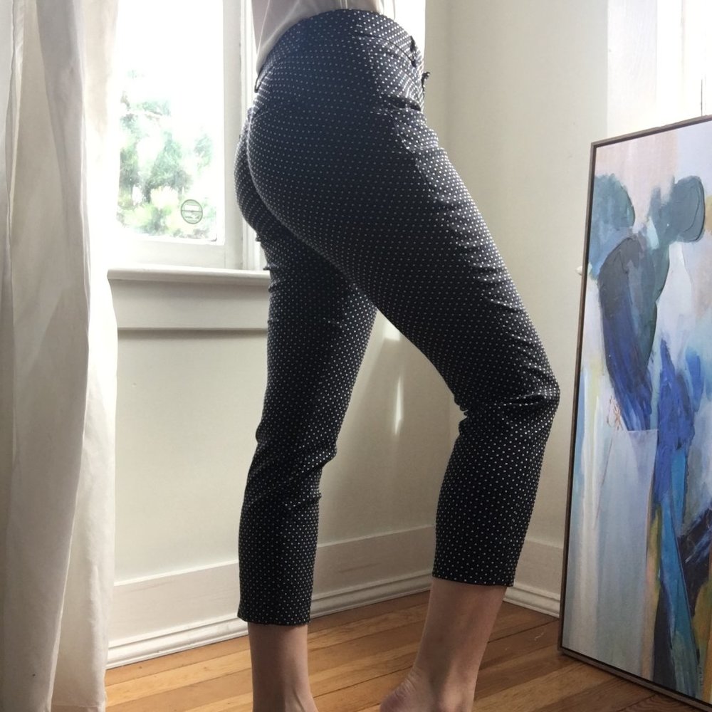 2P Banana Republic Sloan Crop Pattern Pants